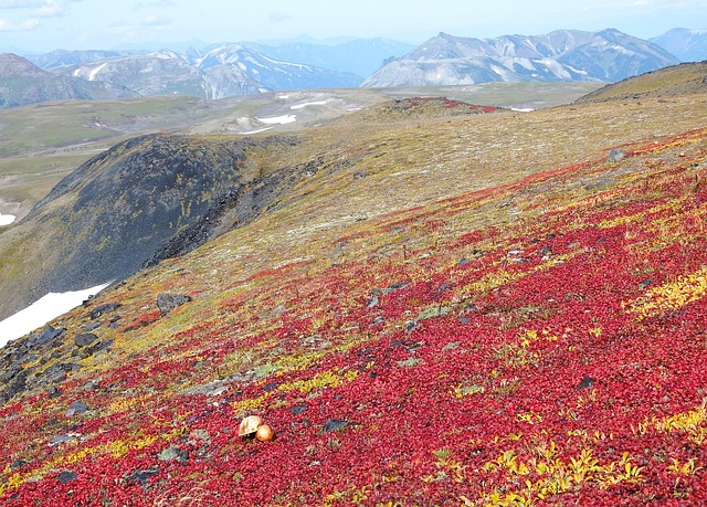 Eine weite Tundra-Landschaft als Symbol für Reisen im Weltenbau.