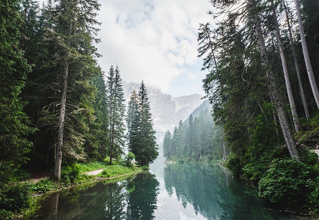 Ein Fluss durchfließt einen Wald am Fuße eines Berges. Symbolbild für Flüsse im Weltenbau.